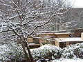 Winter picture of Fallingwater main house north side from guest house hill
