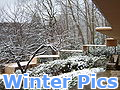 [Pictures of Fallingwater in winter]